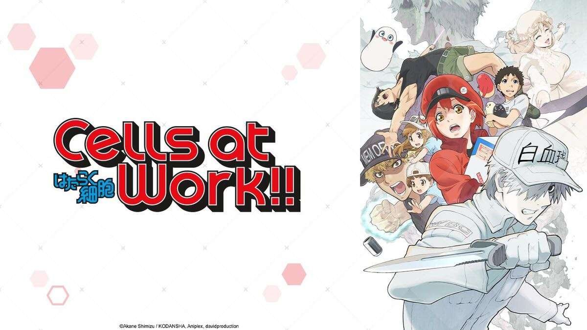 Cells At Work – Vol.1 ~ DVD Test / Review