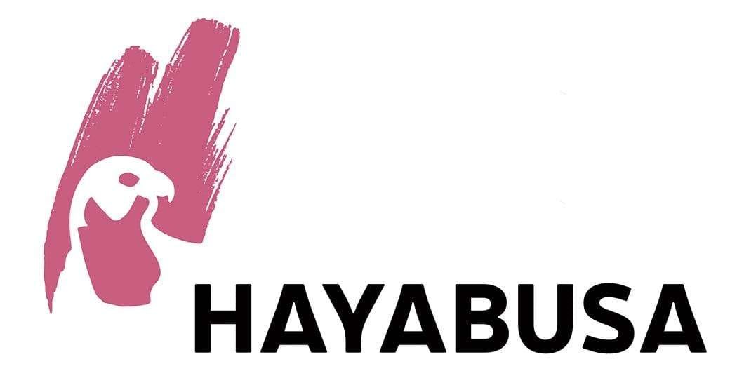 Hayabusa – Carlsen gründet Romance Manga-Label!
