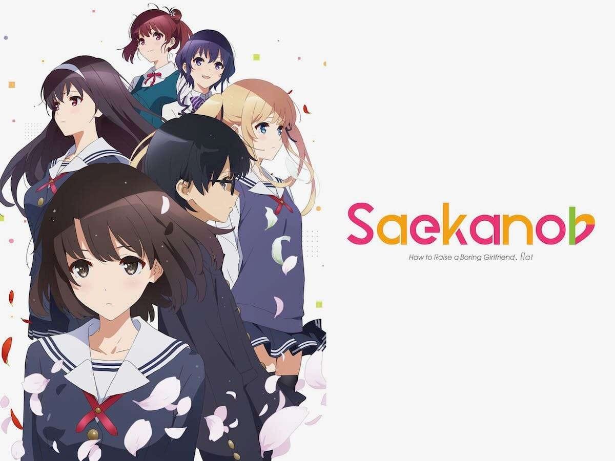 »Saekano: How to Raise a Boring Girlfriend« – Vol.1 [DVD] | REVIEW